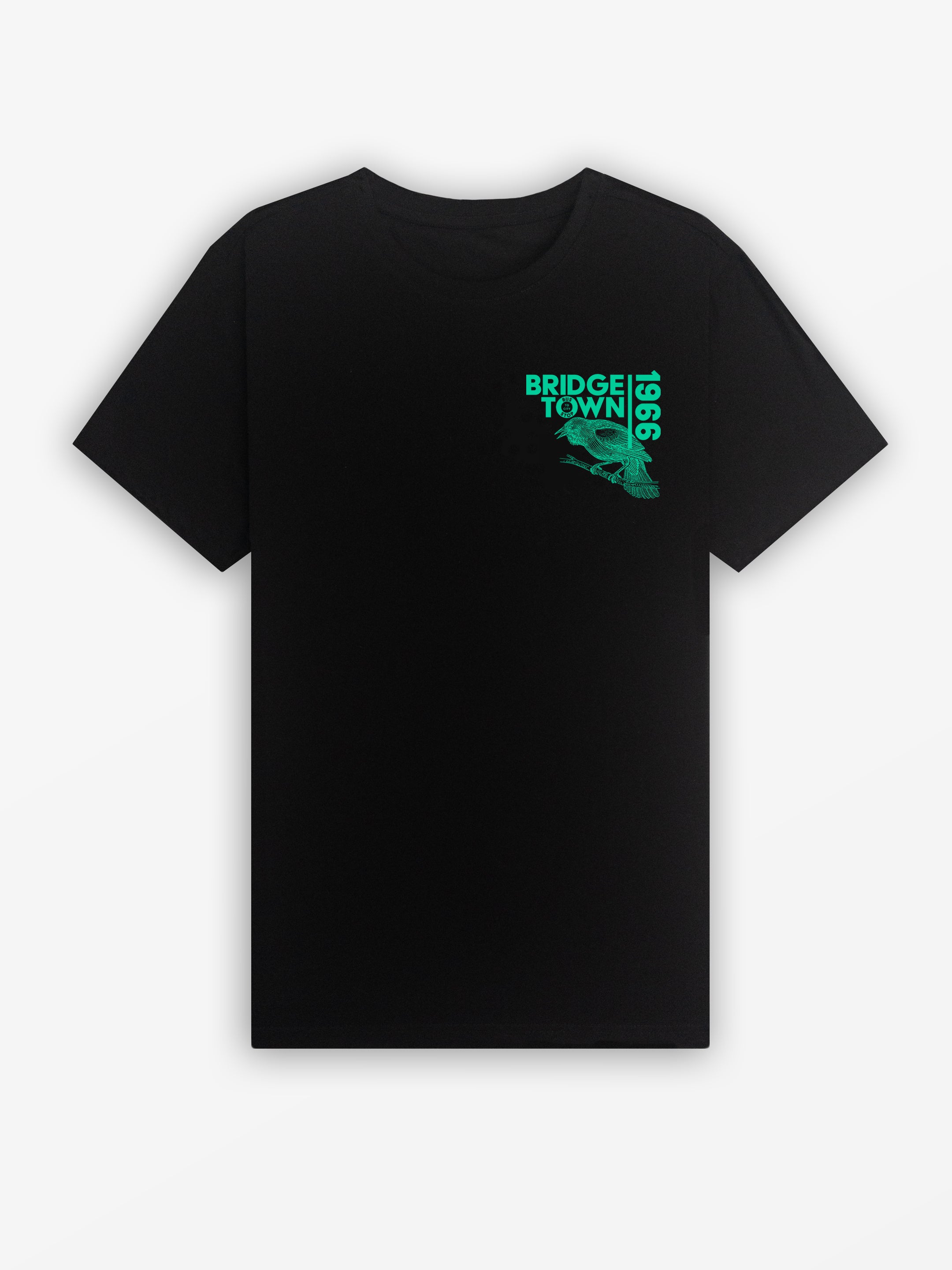 Bridgetown 66 Tee | Black / Mint